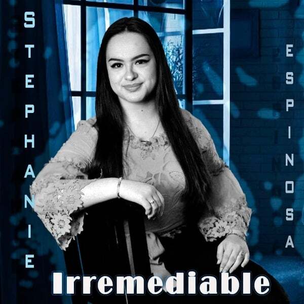 Cover art for Irremediable
